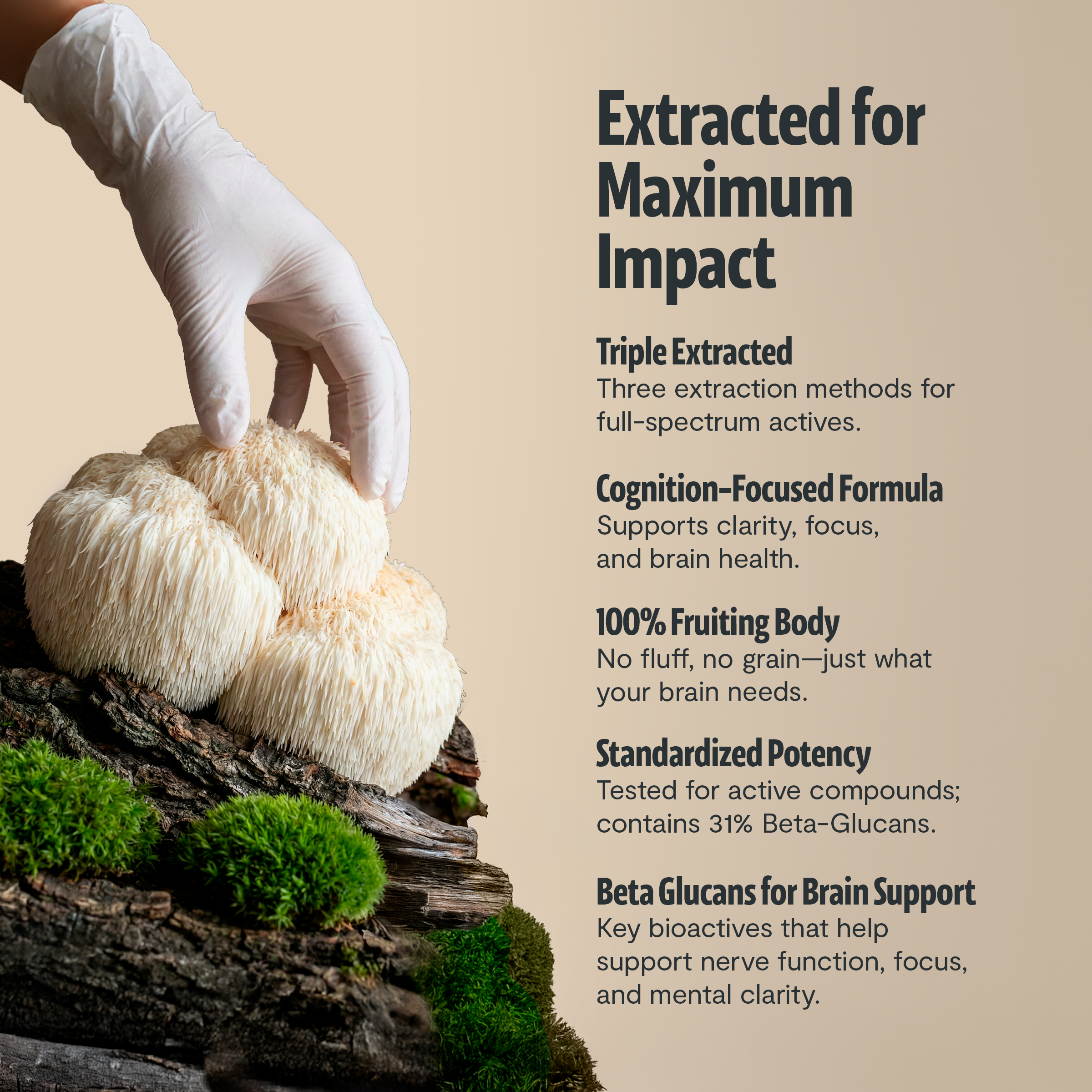 Ultimate Mushroom Complex Capsules